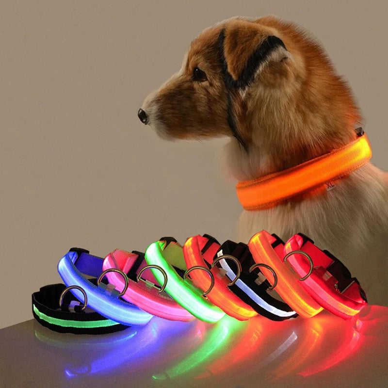 Led Dog Collar Light Anti-lost Collar For Dogs